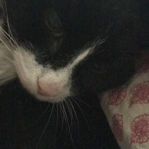 Meet your Posher, Deanna